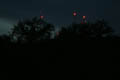 Closer TV Towers with bush silhouettes (300mm, f/5.6, 0.4 sec, ISO 400)<!--CRW_1881.CRW-->