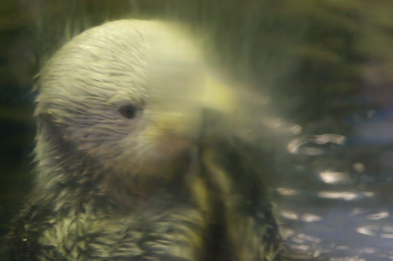He'd rub on his face as well and wipe at the glass.