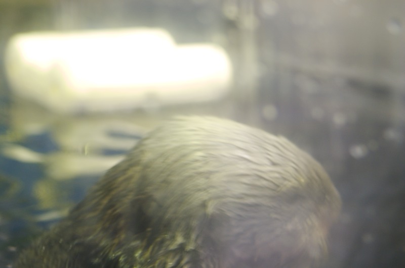 Ducking out of the camera's eye.