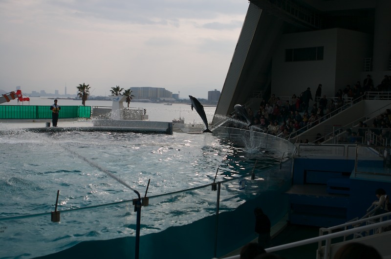 Now they're jumping over the water cannons as if they were horses jumping over fences.