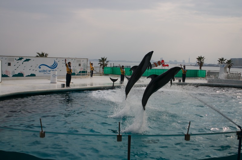 Together jumping over the water walls.