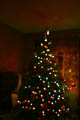 Christmas tree [Double exposure, dark over light, Pin Light] <!--CRW_1842.CRW and CRW_1843.CRW-->
