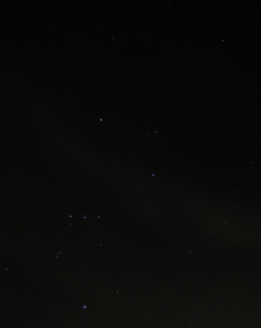 Orion