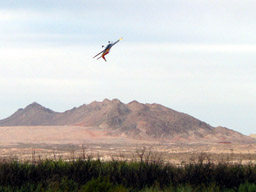 Picture 12
