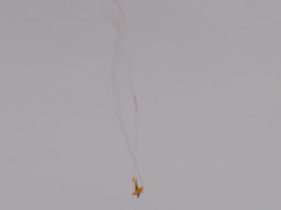 Picture 7
