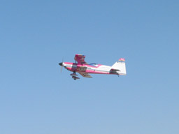 Picture 1